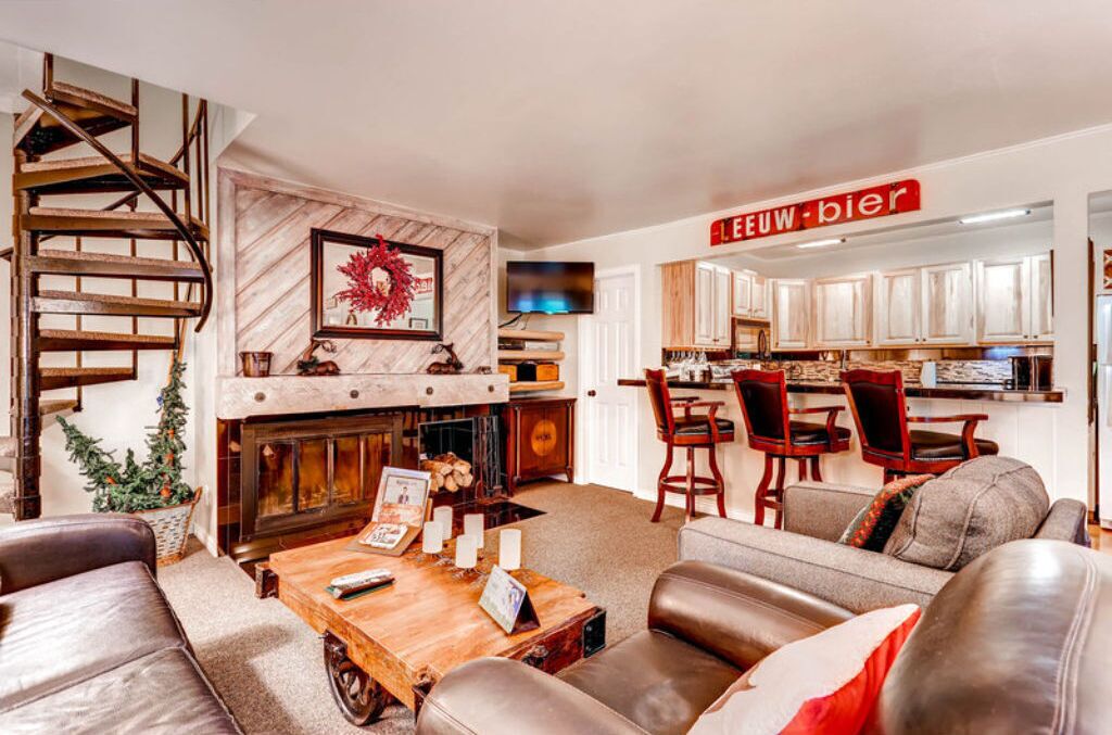 電視、壁爐、DVD 播放機