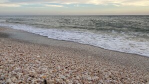 Ein Strand mit Kieselsteinen und Wellen.