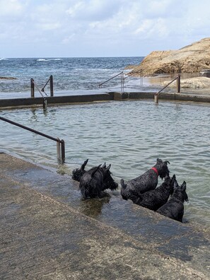 Beach - The Jasmine Creek (Toyooka)