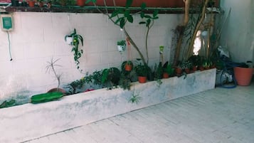 露台/庭院