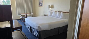 Terrace Inn and Suites