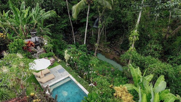 A lush garden with a swimming pool, surrounded by dense tropical vegetation and a waterfall. - Campuhan Guesthouse (Penebel)