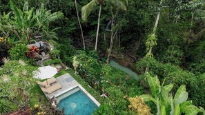 Un jardin luxuriant avec une piscine, entouré d’une végétation tropicale dense et agrémenté d’une cascade.