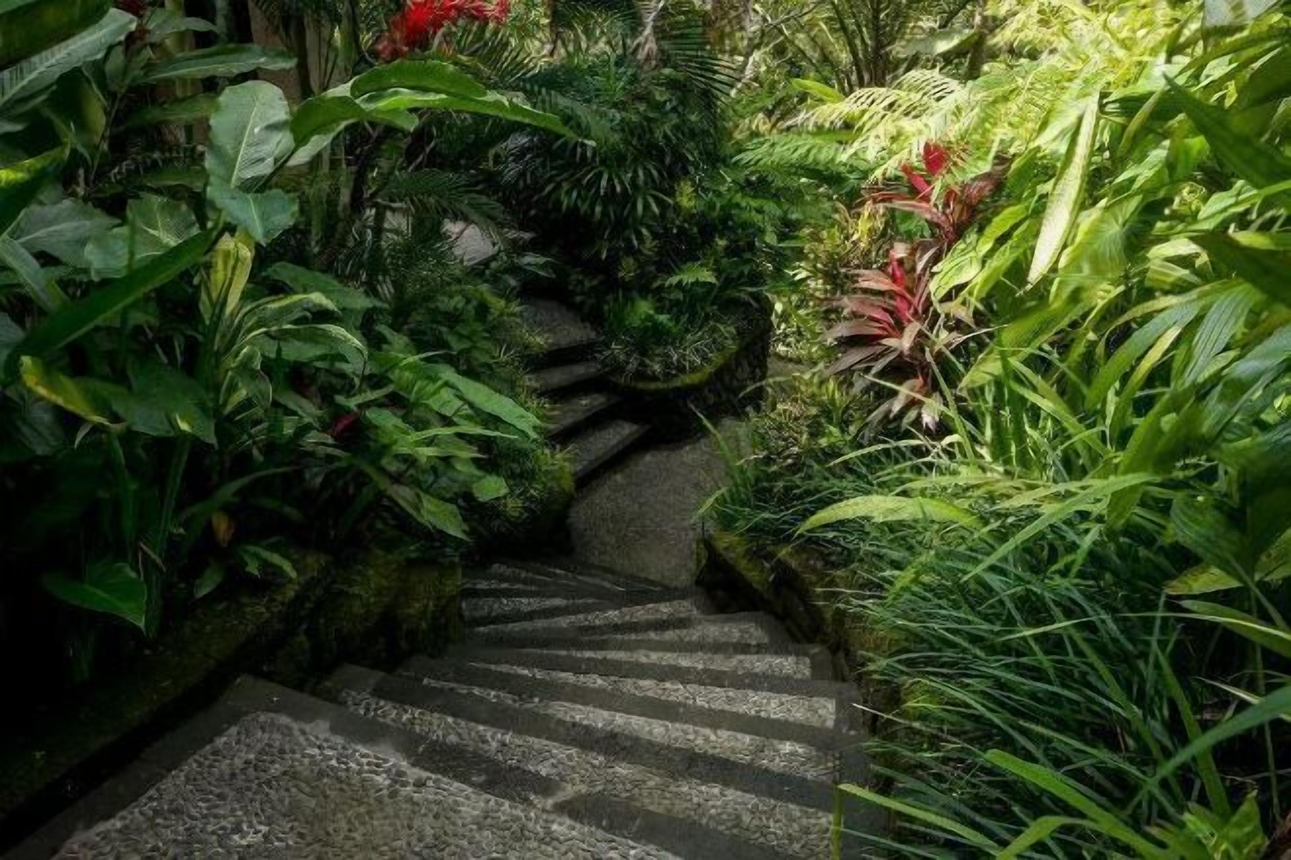 A stone staircase surrounded by lush greenery.