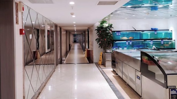 A hotel corridor with a long, narrow layout, a glass fish tank on the right, and a potted plant in the center. - Saiqi Hotel (Fu'an)