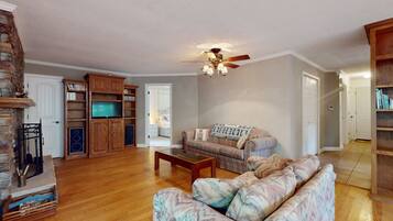 TV, DVD player, books, video library