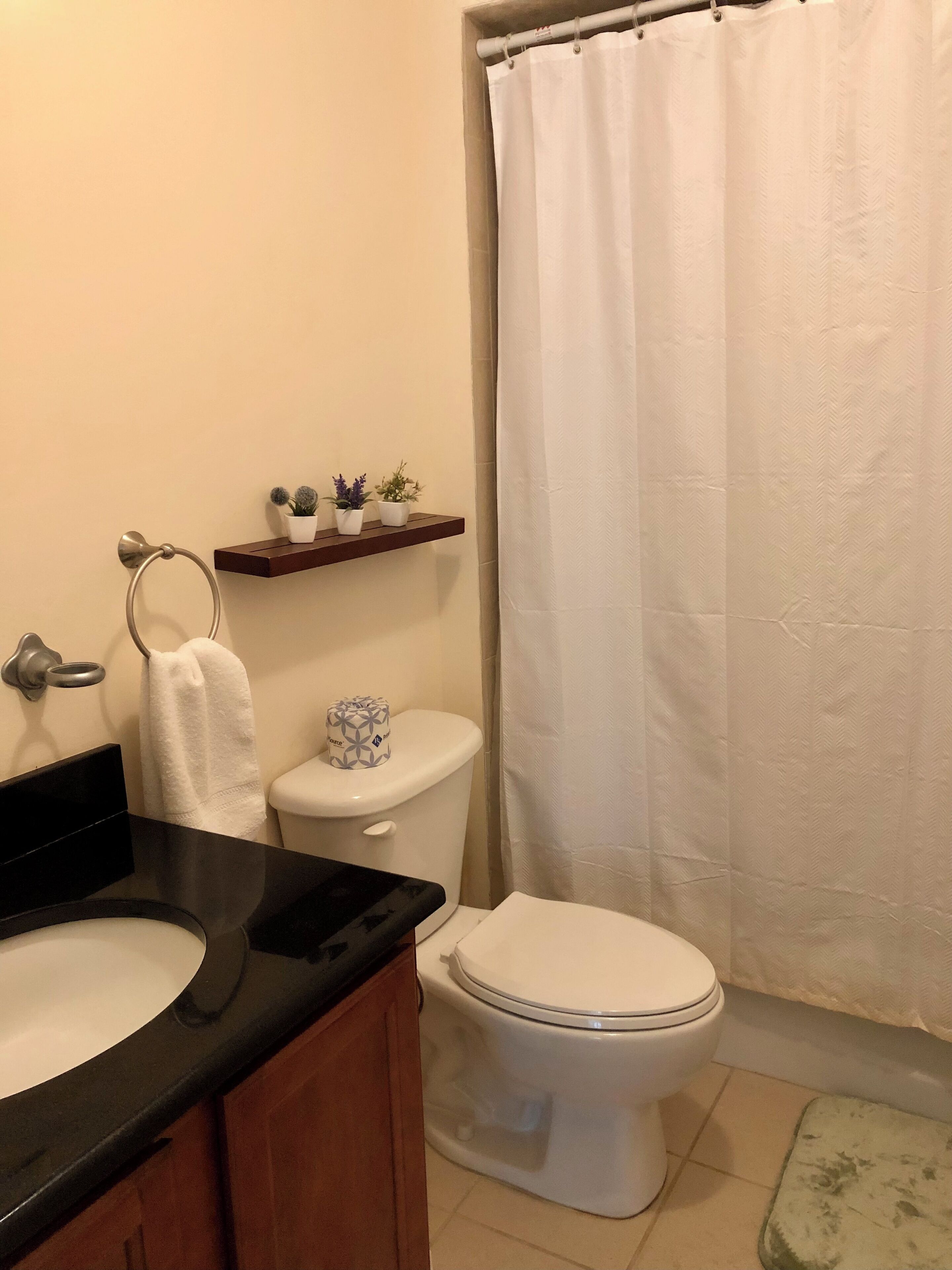 Secador de cabelo, toalhas de banho, sabonete, shampoo