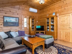 TV, fireplace, DVD player
