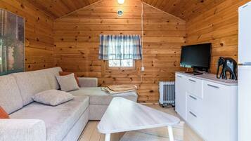 Een gezellig chaletinterieur met een bank, een klein tafeltje, een televisie en een radiator.