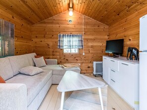 电视、DVD 播放器