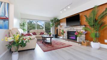 Smart TV y chimenea