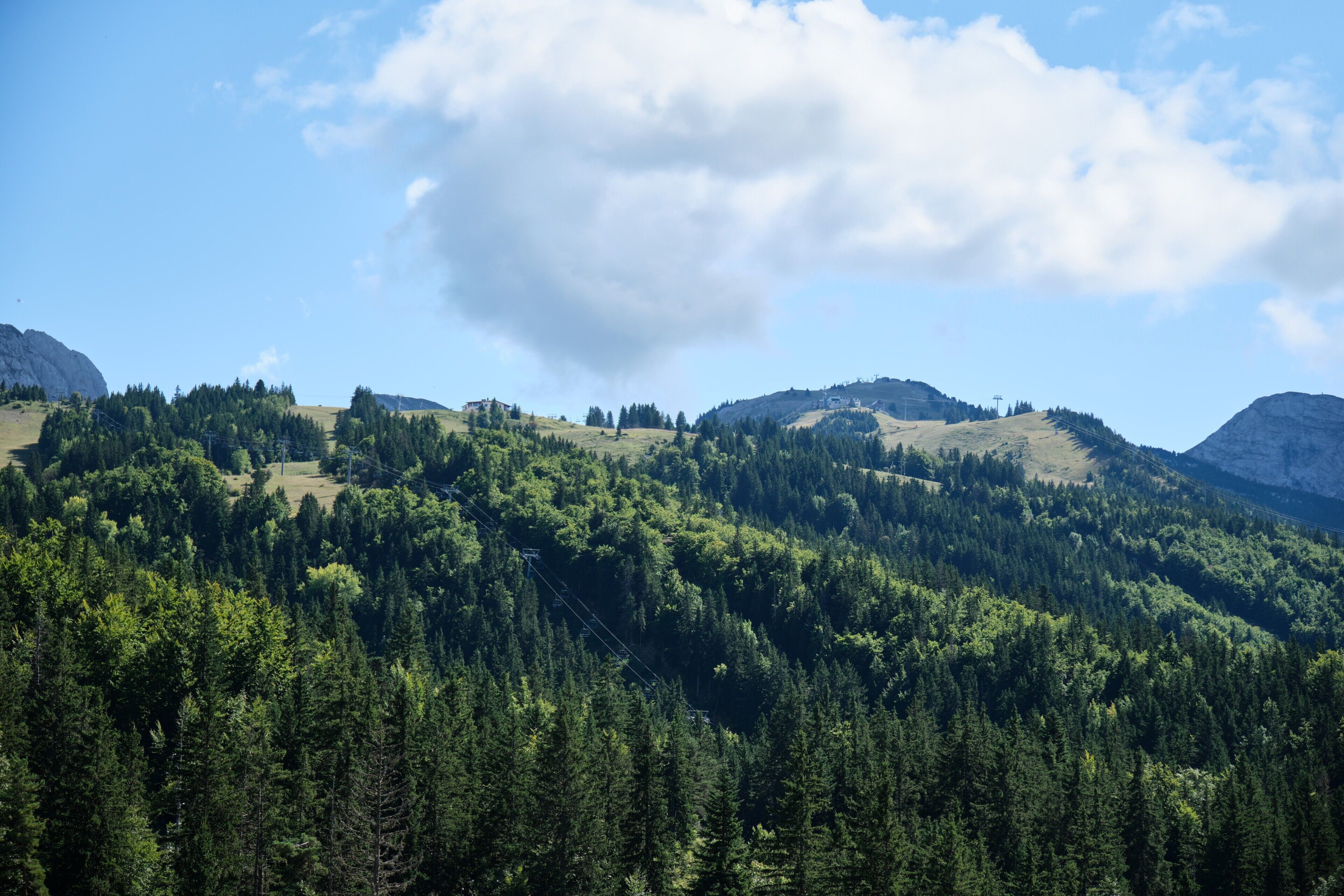Un paisaje montañoso con bosques densos y cielo despejado.