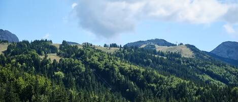 Un paisaje montañoso con bosques densos y cielo despejado.