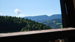 Vista de un paisaje montañoso a través de una ventana, que incluye un área boscosa y colinas distantes.