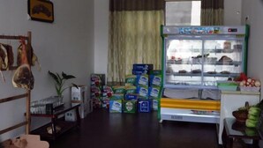 Ein Zimmer mit einem Kühlschrank voller Lebensmittel, einem Holzgestell mit aufgehängten Gegenständen und einem Tisch mit Kartons und einer Pflanze.