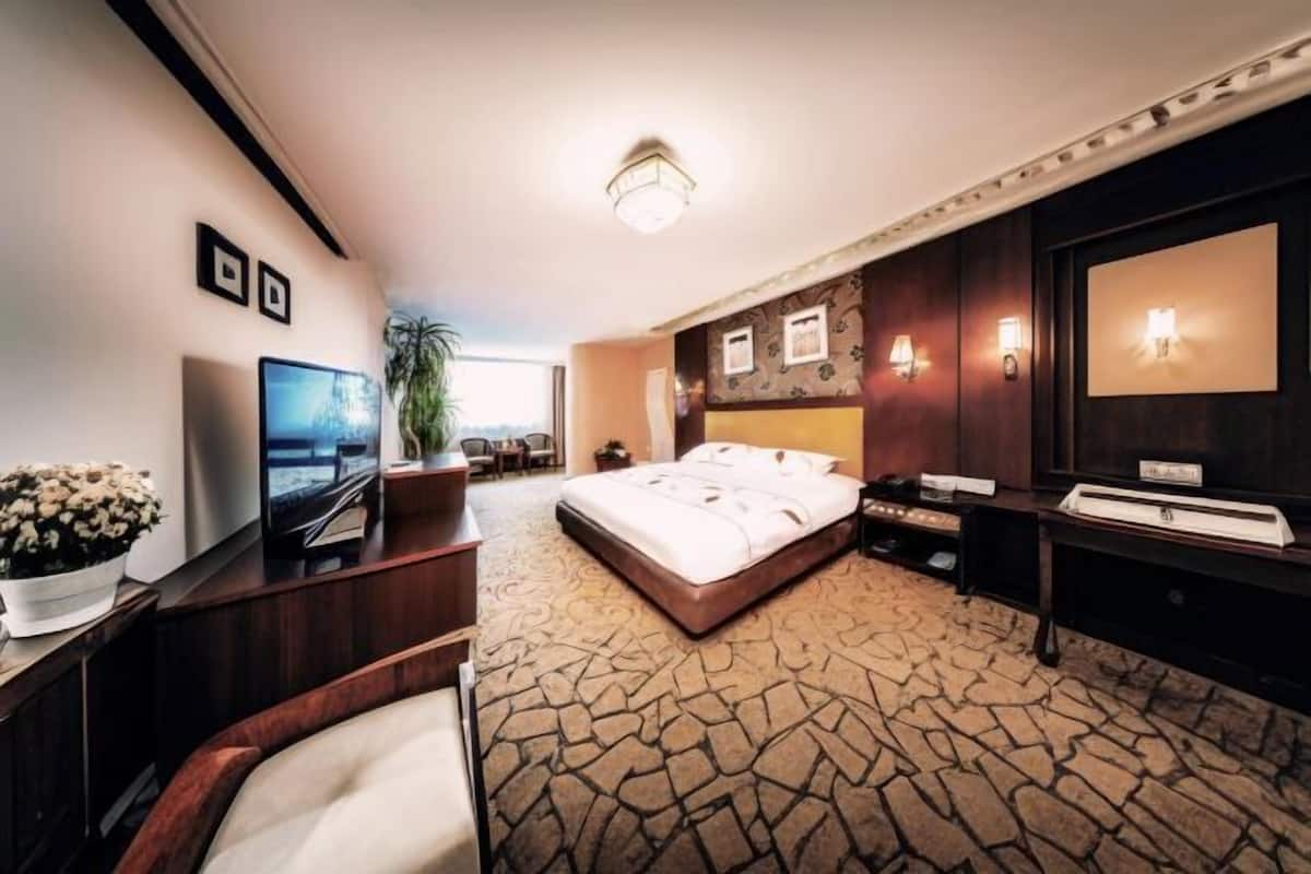 A hotel room with a bed, a desk, a television, and a large window.