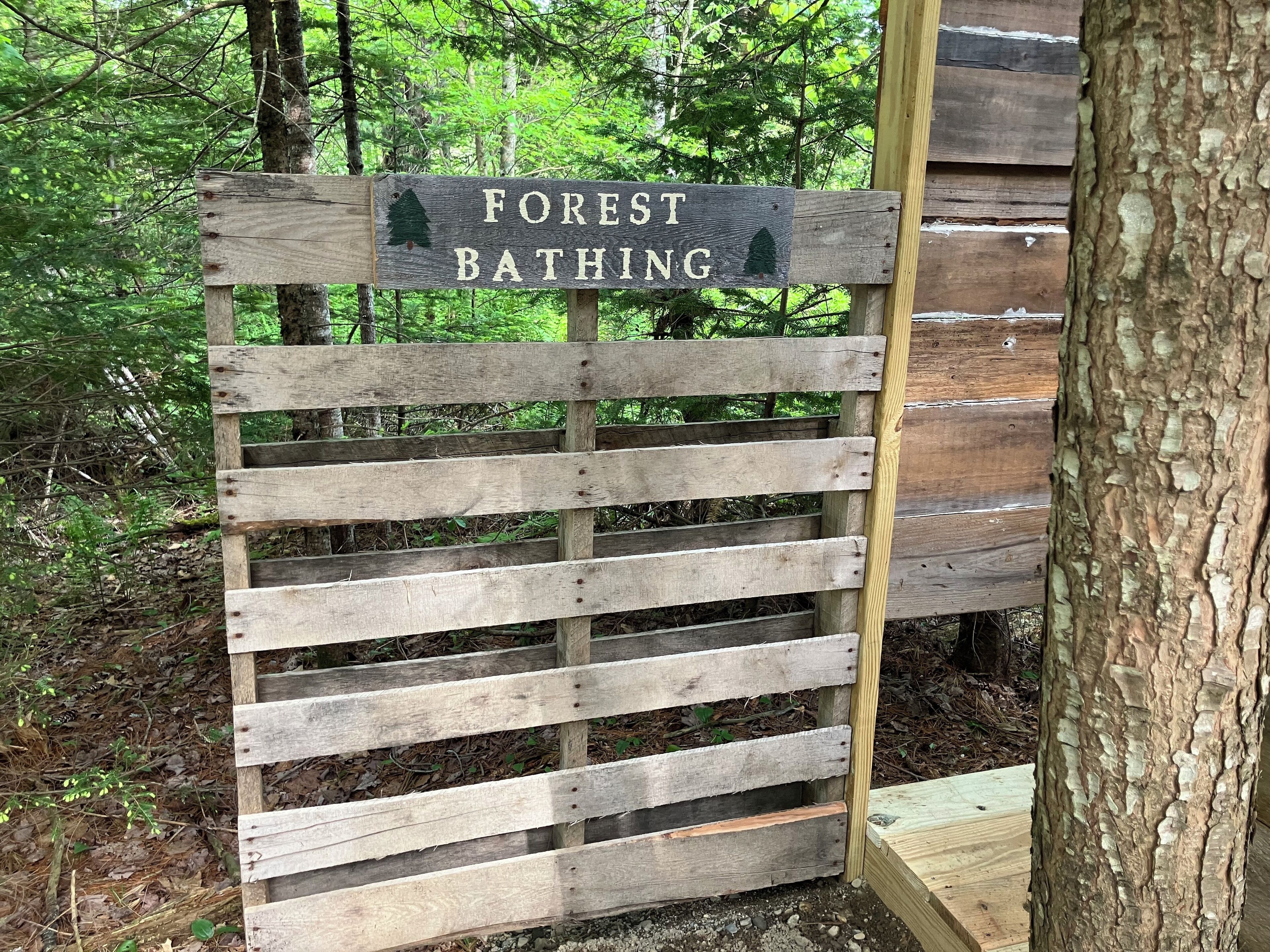 A wooden sign with the text "FOREST BATHING" in a natural setting.