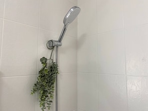 Shower, hair dryer