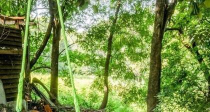 Natural Retreat & Pet Friendly Escape
