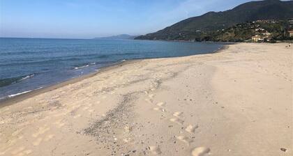 16 Apartments auf den Strand, um Einen Unvergesslichen Urlaub zu Verbringen