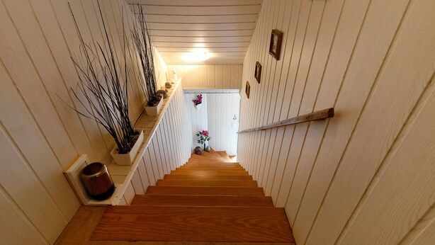 Una escalera de madera con paneles blancos en las paredes, barandilla y una planta pequeña a la izquierda.