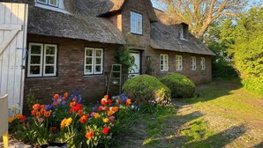 A traditional brick house with a thatched roof, a wooden gate, and a garden with colorful tulips.
