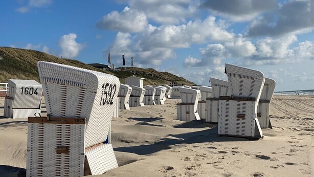 Beach chairs arranged in rows on a sandy beach with a clear sky.