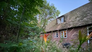A rustic thatched-roof house with a small window and a door, surrounded by dense greenery.