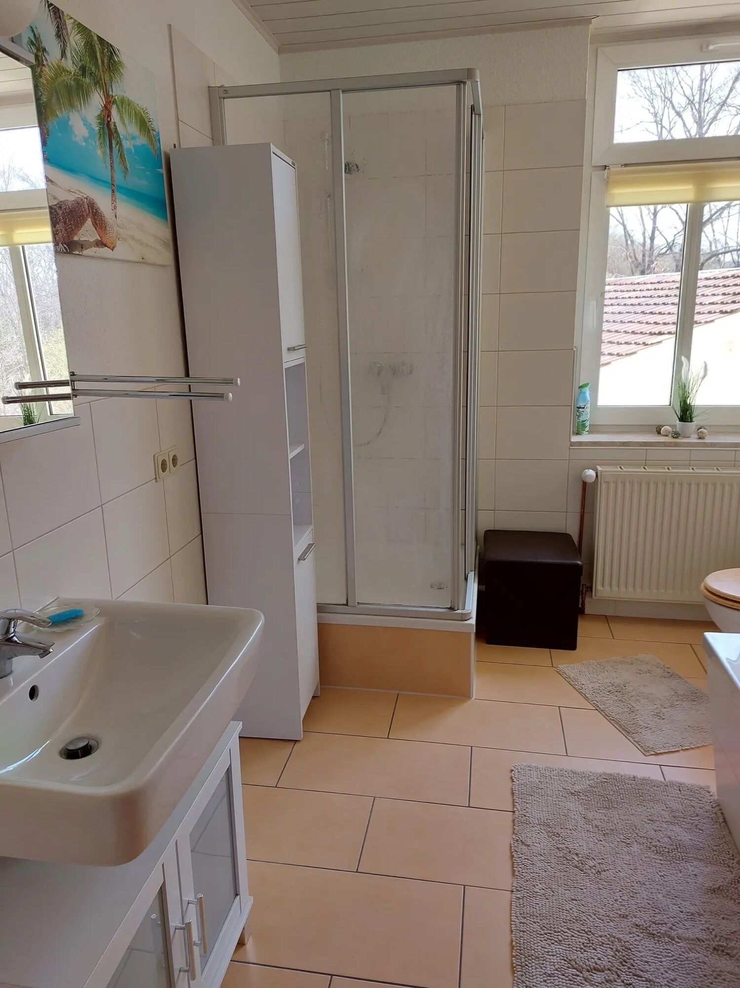 Dusche, Haartrockner, Handtücher