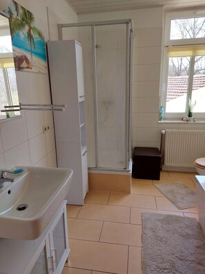 Shower, hair dryer, towels