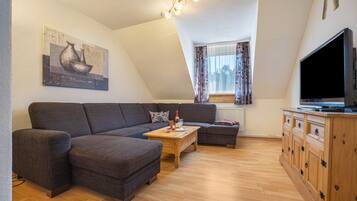 Televisor i taula de tennis de taula