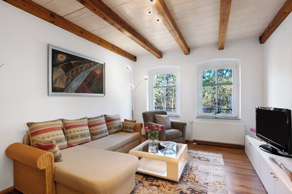 テレビ、暖炉、ステレオ