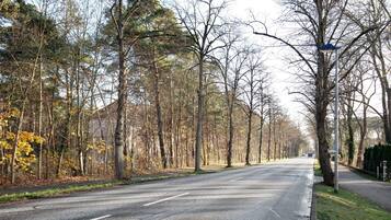 A tree-lined road with a sidewalk and street lamps.