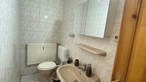 Shower, hair dryer, towels, soap - Vacation apartments in the Elbe Valley (Meißen)