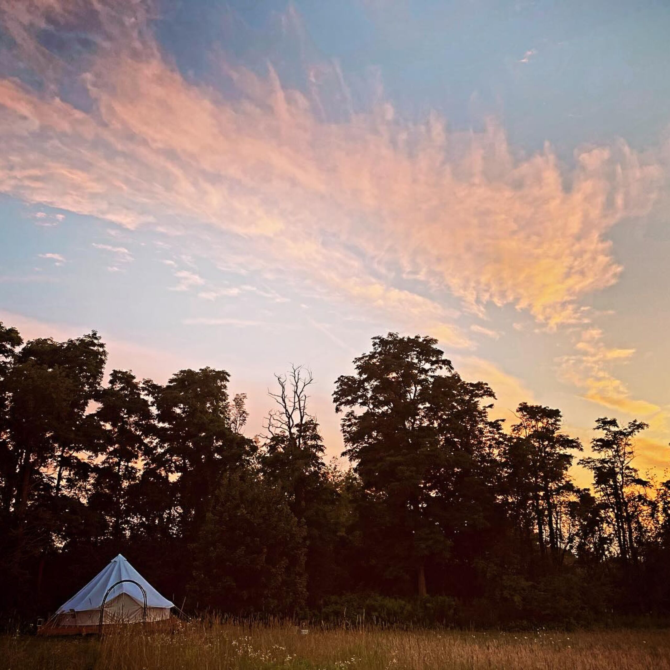 A tent in a natural setting with trees and a clear sky.