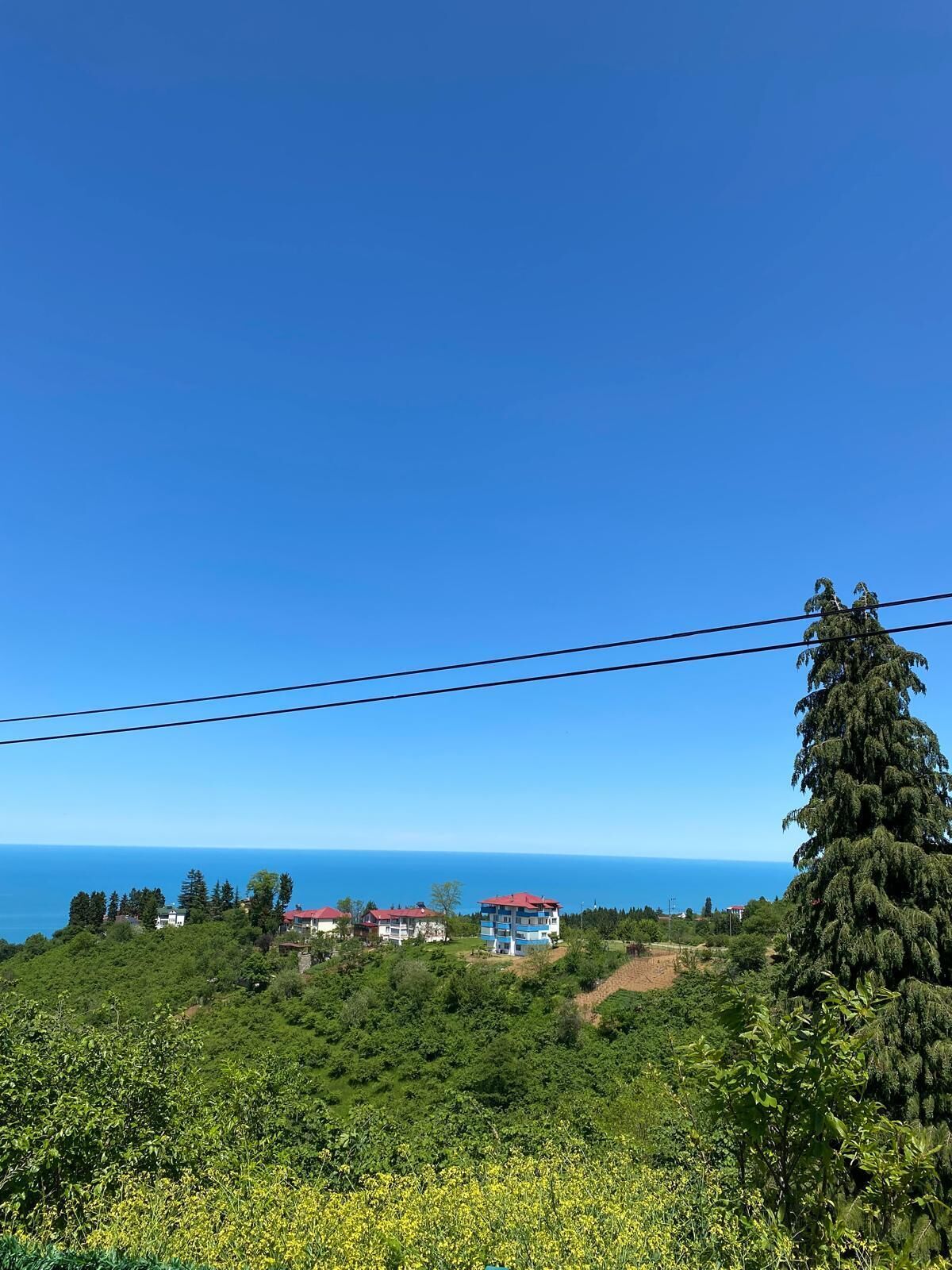 Un paysage côtier avec des bâtiments, de la végétation et un ciel dégagé.