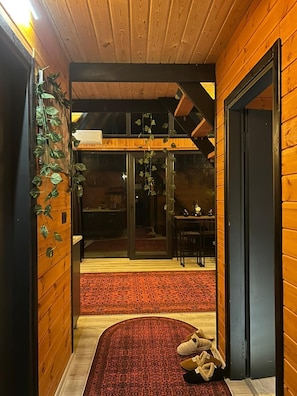 70-inch TV with satellite channels