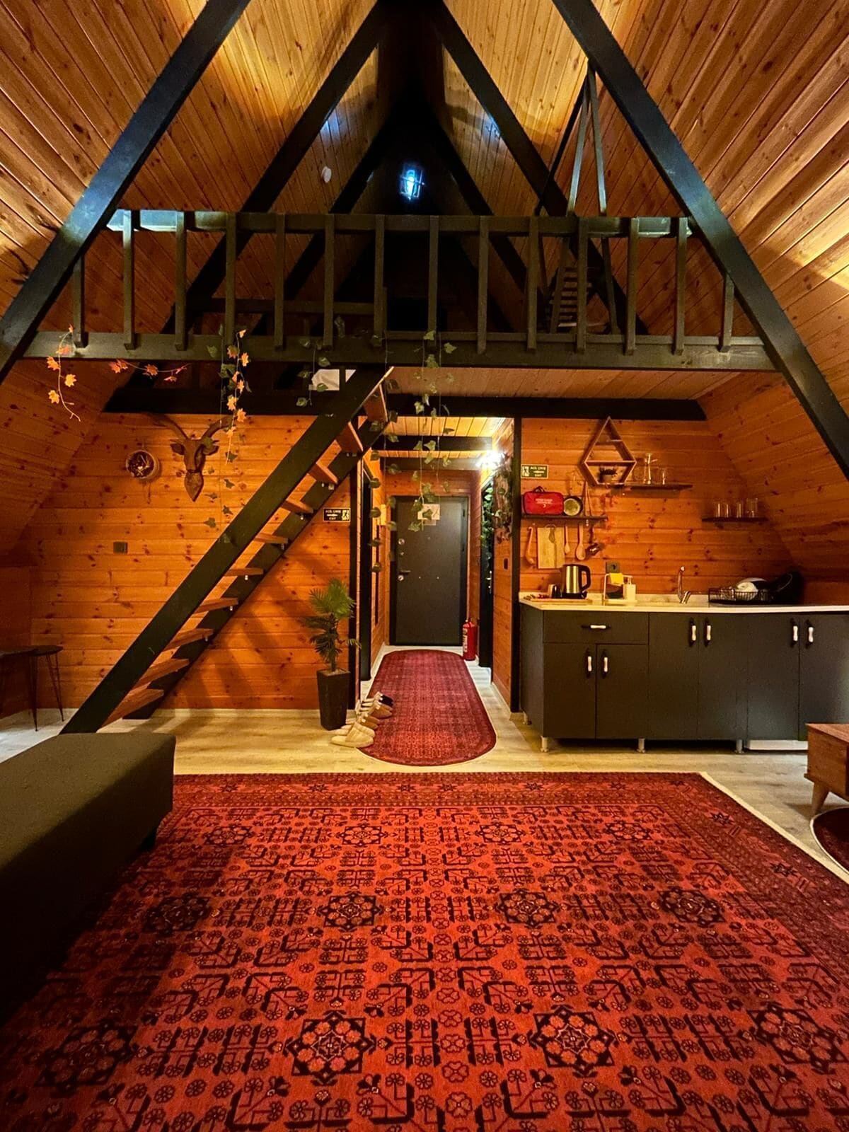 Televisión de 70 pulgadas con canales vía satélite 