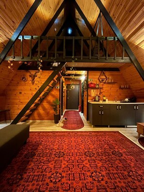 70-inch TV with satellite channels