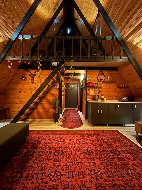 70-inch TV with satellite channels