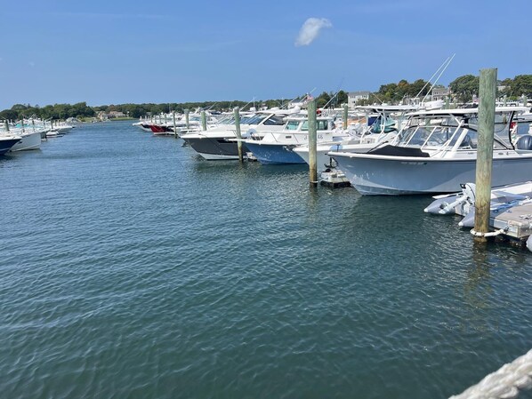 Marina