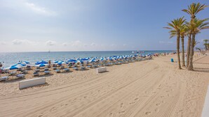 Una playa con hileras de sombrillas azules y blancas, tumbonas y palmeras.