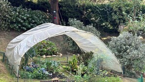 A garden with a greenhouse structure, surrounded by a wire fence and various plants. - 3-room beautiful cottage close to Laguna Guatavita (Cundinamarca)