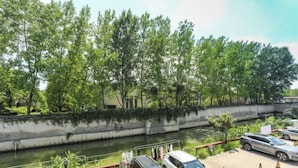 Un área de estacionamiento con coches, un río y árboles.