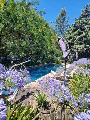 Un espace aménagé au bord de la piscine, avec une eau d’un bleu limpide, entouré d’une végétation luxuriante et de fleurs violettes.