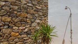 A stone wall, a small plant, and a white wall with a shower. - Villa 'Agios Sostis Mykonos' with Sea View, Wi-Fi and Air Conditioning (Mýkonos City)