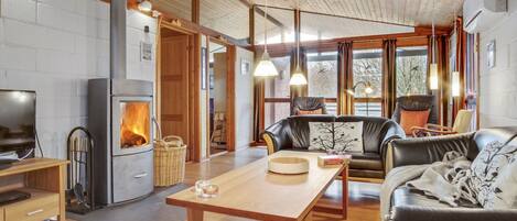 TV, fireplace, DVD player