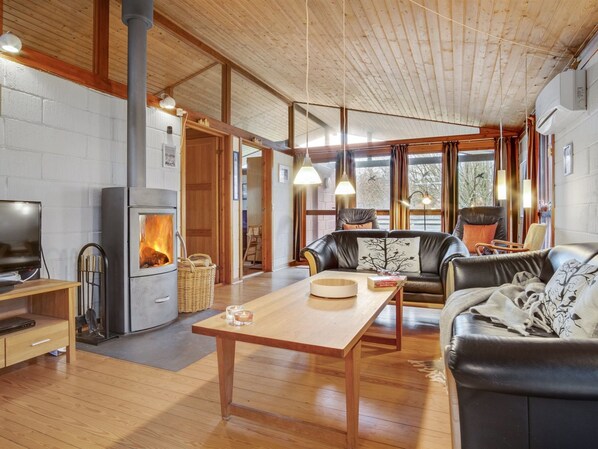 TV, fireplace, DVD player