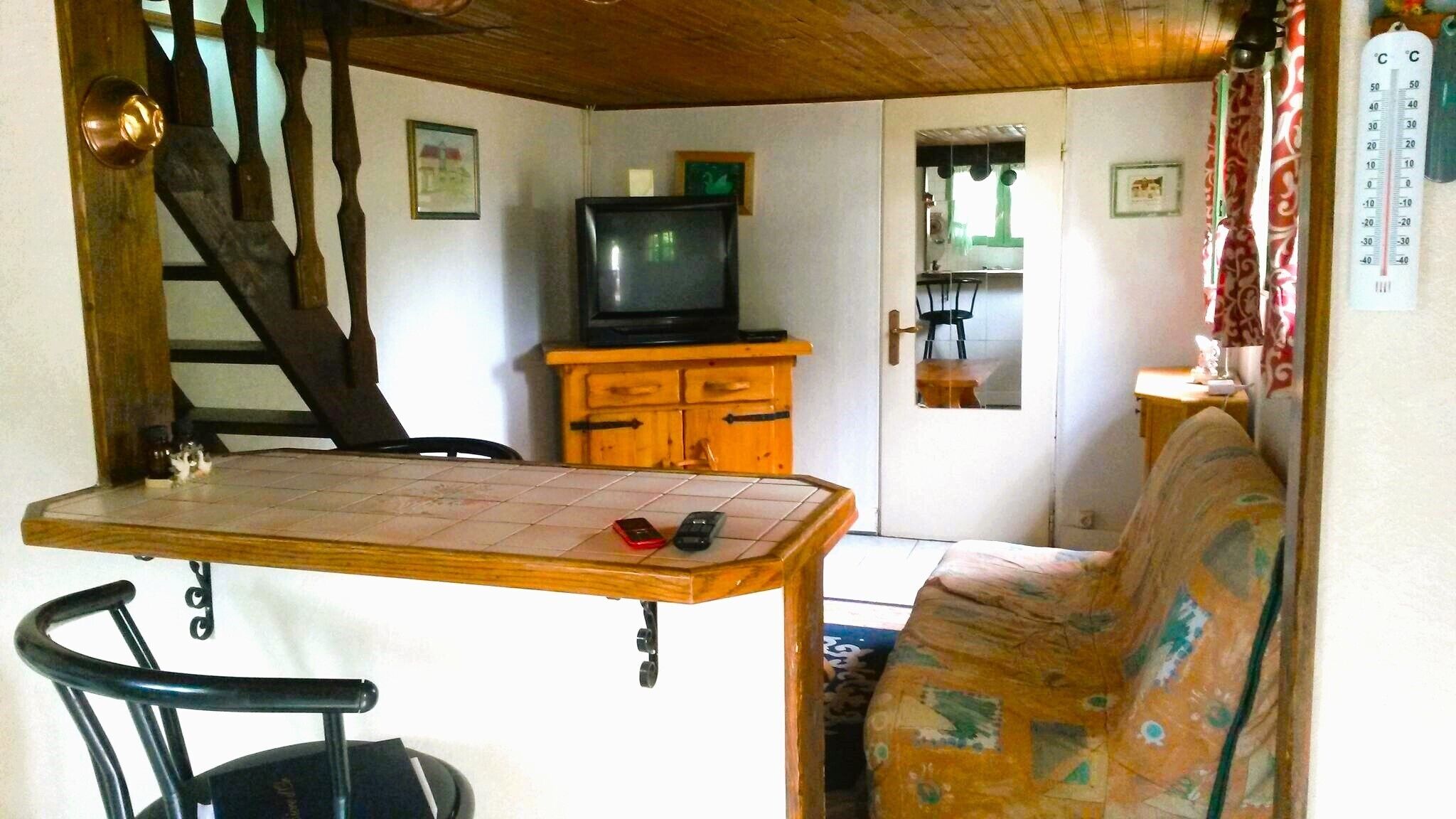 TV