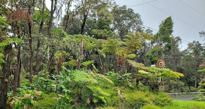 Experience Tranquility in a Spacious 3-Bedroom Surrounded by Hawaiian Forest